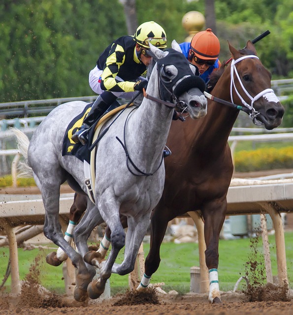 一场赛事 一场赛事